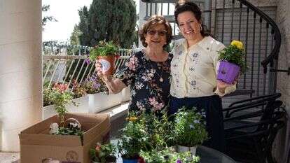 אוליביה פיטוסי, פלאש 90