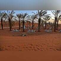 נווה מדבר מלאכותי בריאד המשמש כאתר נופש, לפני כחודשיים. | AFP