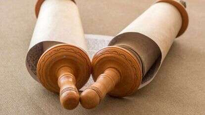 תמונה: שאטרסטוק