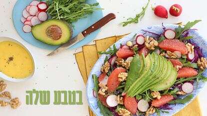 אפרת ליכטנשטט