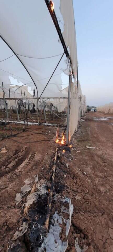 שריםת החממות בשדה משה. | תומר שבתאי