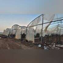 שריפת החממות בשדה משה. | תומר שבתאי