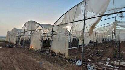 שריפת החממות בשדה משה. | תומר שבתאי