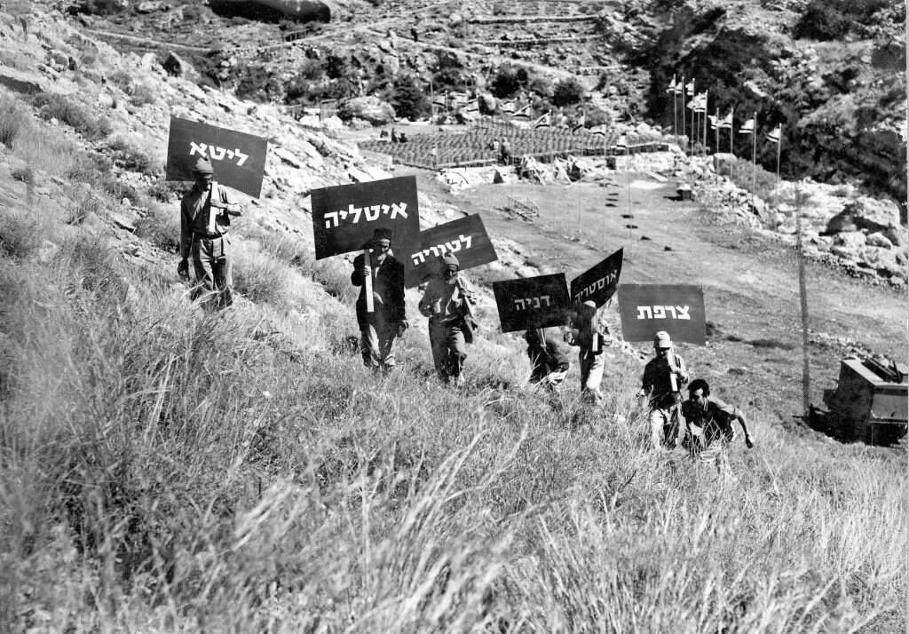 הקמת יער הקדושים בכסלון. | ארכיון הצילומים של צה"ל