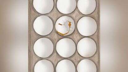 איור: שרון ארדיטי