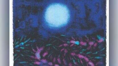 איור: מנחם הלברשטט