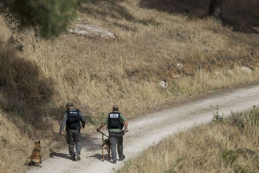 בשירות הצבאי התחיל הסטנדאפ. יחידת הכלבנים | יונתן זינדל, פלאש 90