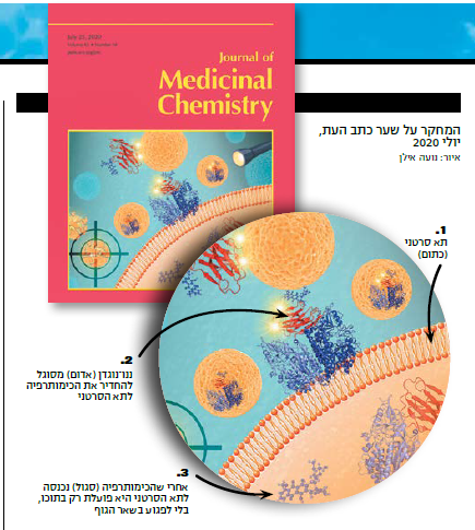 איור: נועה אילן