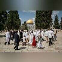 עולים להר הבית. | סלימאן חאדר, פלאש 90