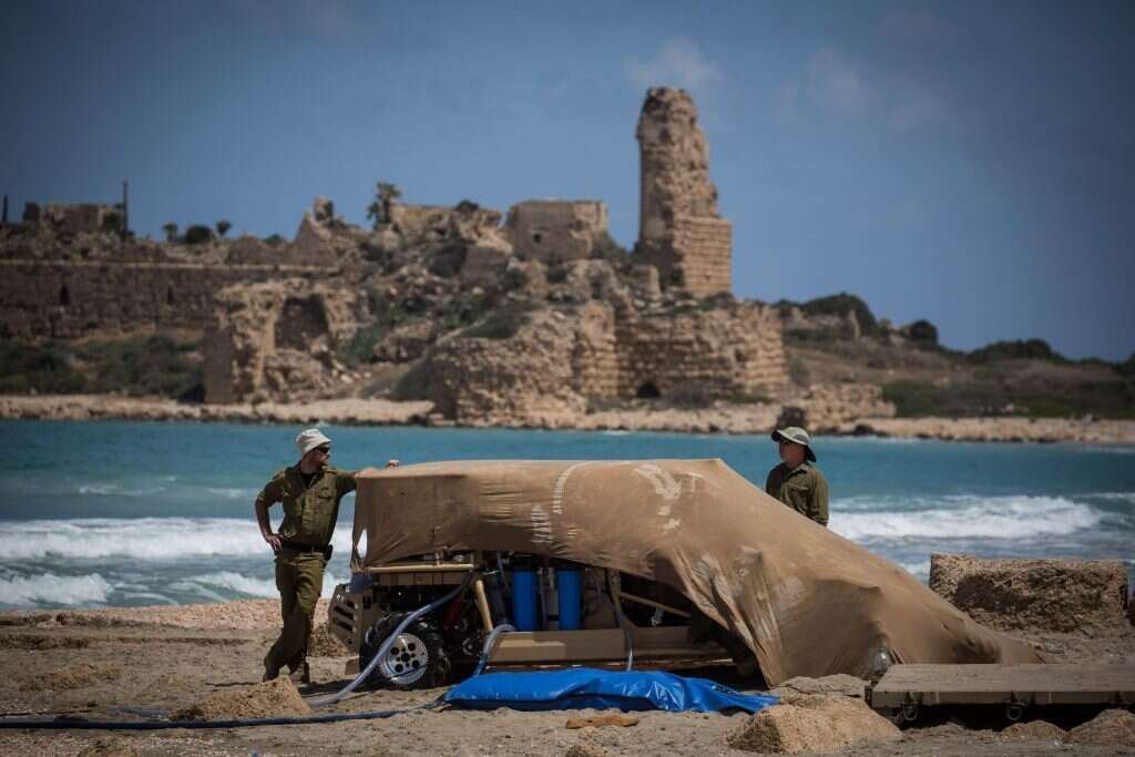 הדס פרוש, פלאש 90