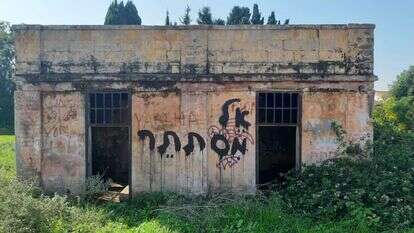 מרגיש שאני מצליח לבטא את הכאב דרך האמנות