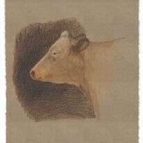 איור: מנחם הלברשטט