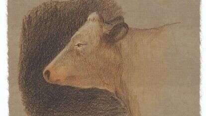 איור: מנחם הלברשטט