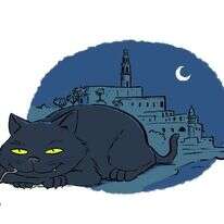 איור: שי צ'רקה