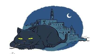 איור: שי צ'רקה