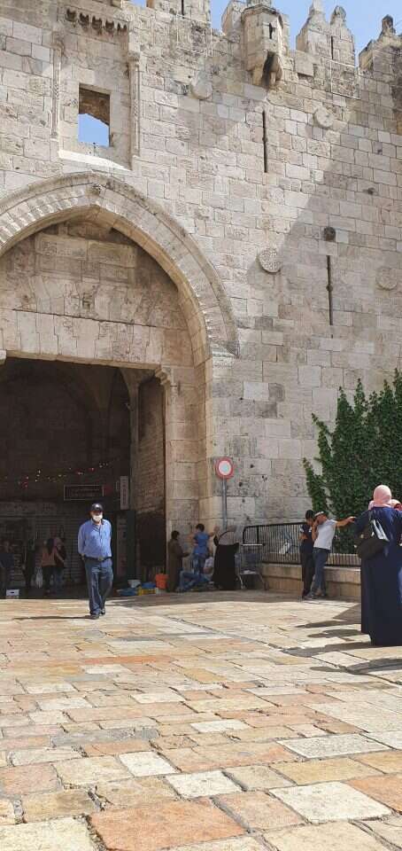 שער שכם | אסף גבור שער שכם | אסף גבור