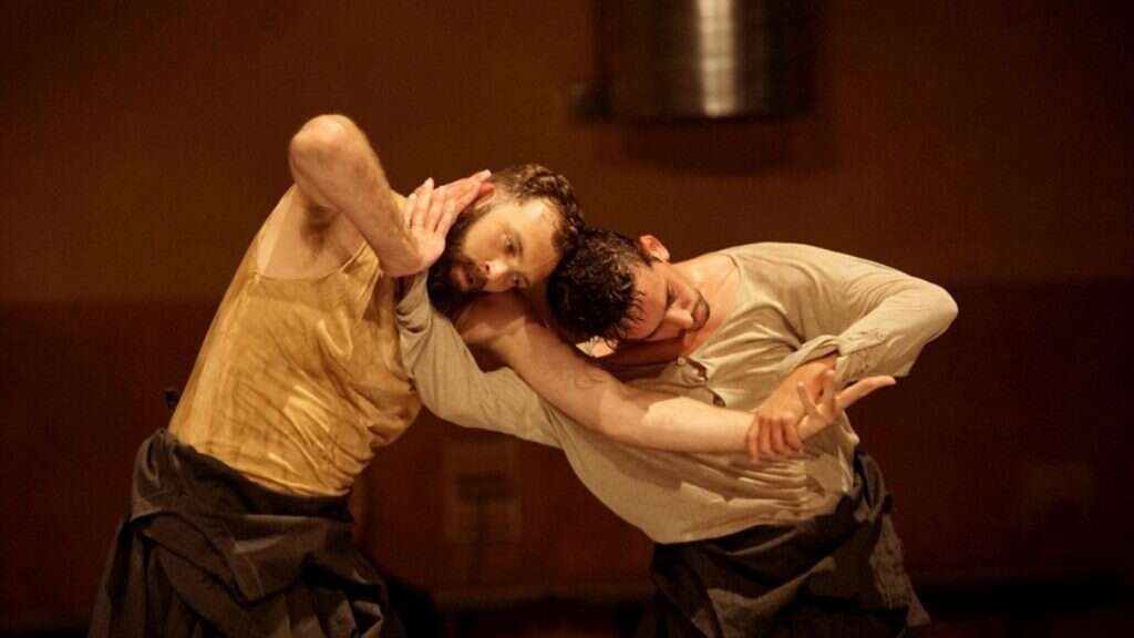 פרדס. | אלעד דבי