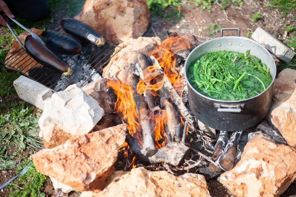 סיור ליקוט, פסטיבל אביב זמן גליל מערבי. | נועה סיטי אליהו
