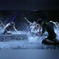 ציפורים נדירות. | יחצ סוזן דלל