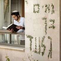 גלעד אברהמוף, חתן התנ"ך העולמי. | אבישג שאר ישוב