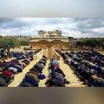 מתפללים מוסלמים בהר הבית, 2019. | סלימן חאדר, פלאש 90