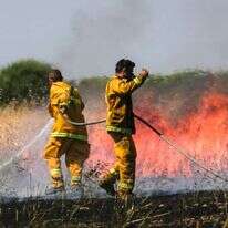 לוחמי אש מכבים דליקה בעוטף עזה, 2018. | יהודה פרץ