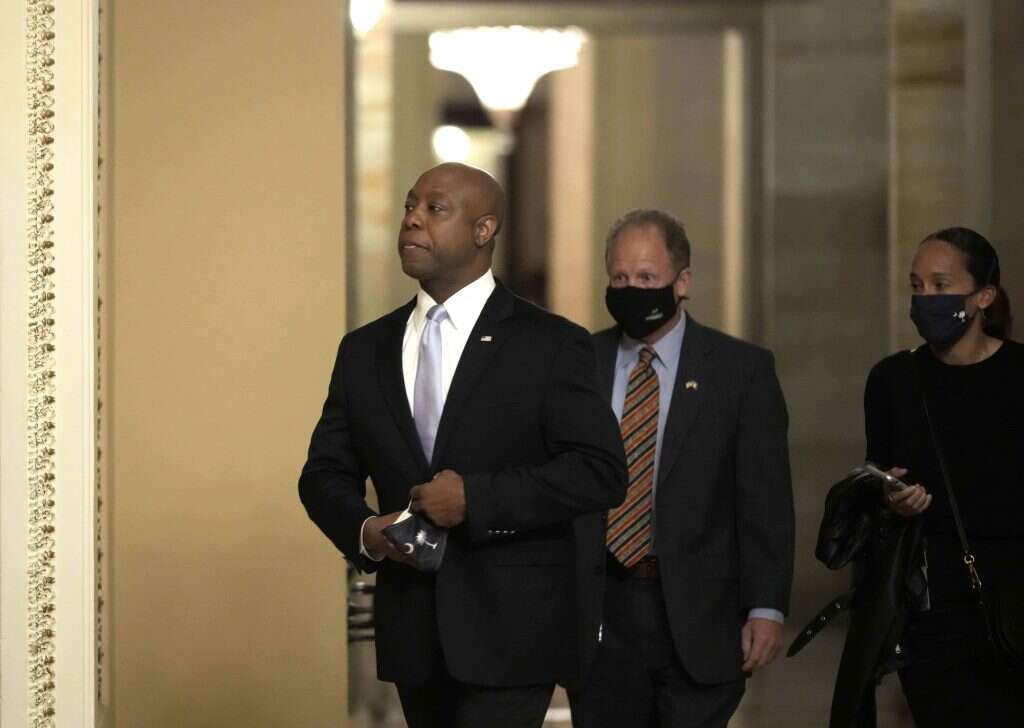 טים סקוט. | AFP טים סקוט. | AFP