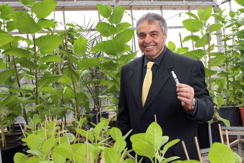 קולגן אנושי מטבק. פרופ' עודד שוסיוב. | נתי שוחט - פלאש 90