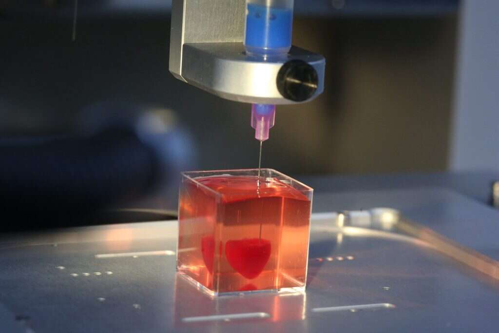 להדפיס לב אנושי ולמנוע רשימות המתנה ארוכות להשתלה. | יהושע יוסף