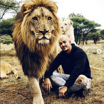 דין שניידר. | מסך