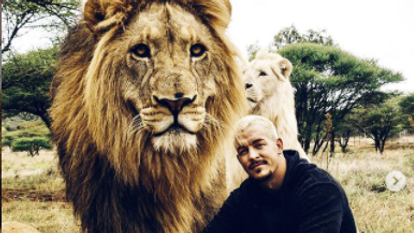 דין שניידר. | מסך