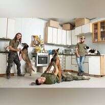 שריה דיאמנט