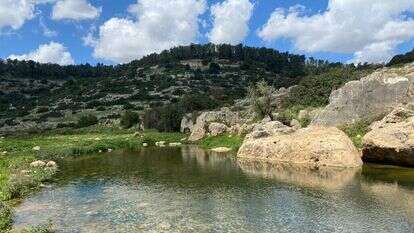 נחל קנה בשומרון. | מורן אריאלי