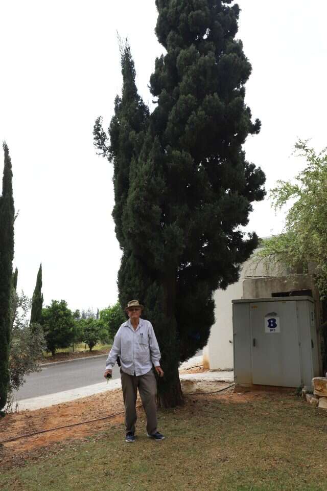 יעל (פרוינד) אברהם