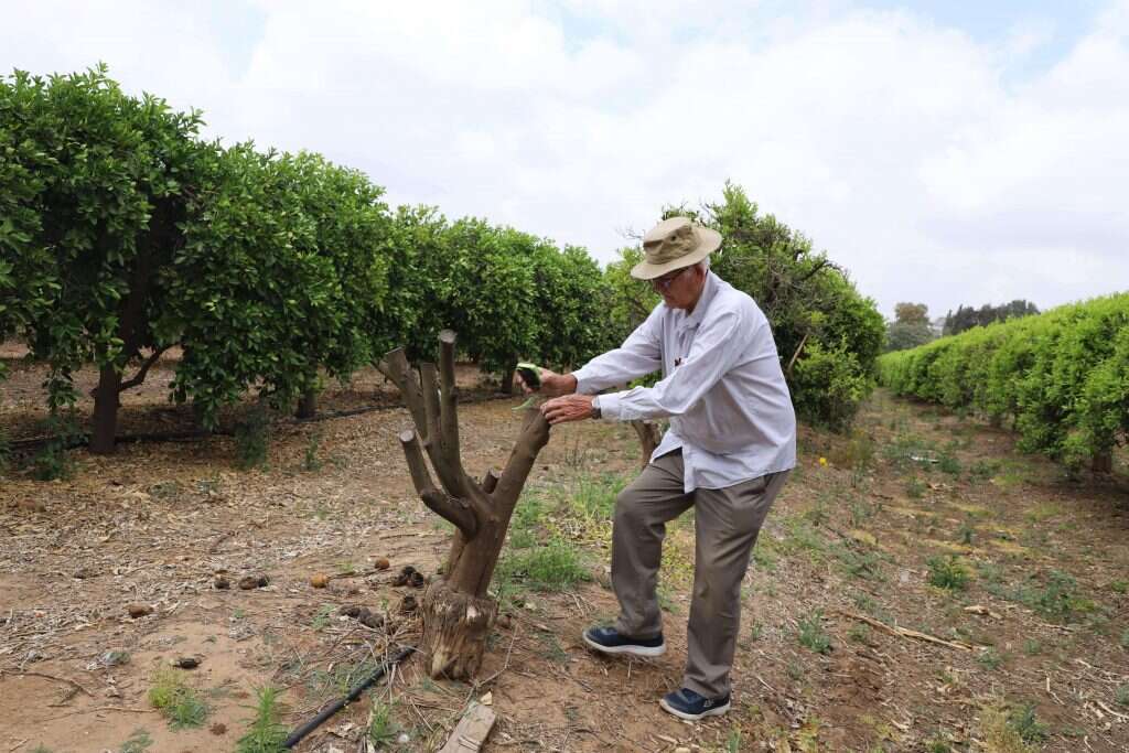 בעיות מכיוון הרוכב והכנה. | יעל (פרוינד) אברהם