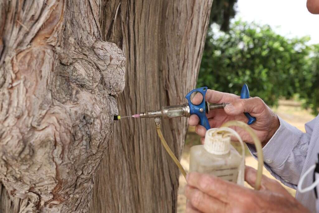 סימולציית טיפול. המקדחה והדובל. | יעל (פרוינד) אברהם