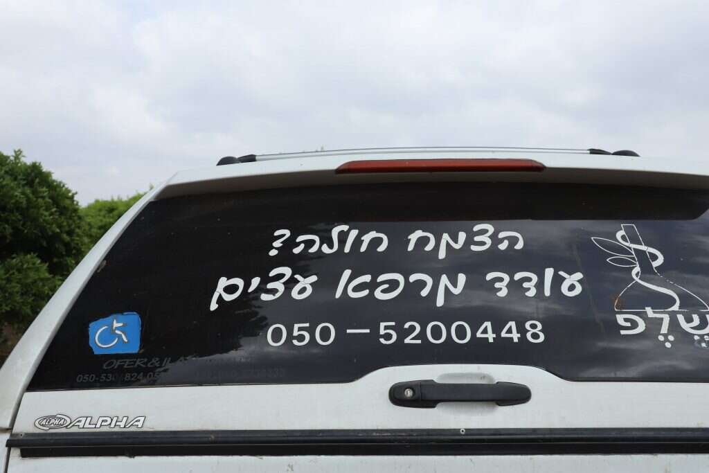 יעל (פרוינד) אברהם