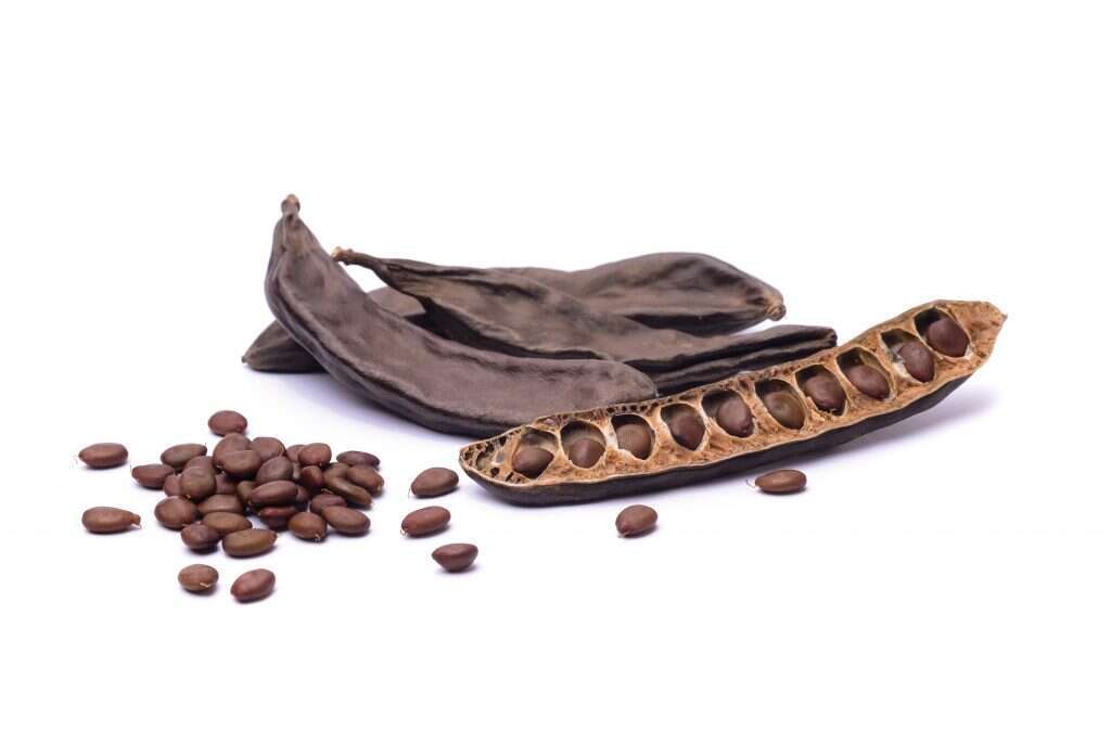 חרובים. | שאטרסטוק