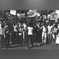 הפנתרים השחורים. | משה מילנד לע"מ