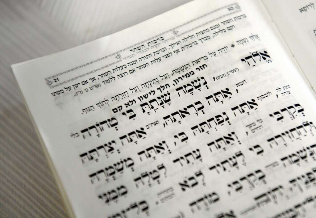 לצד כל קטע נכתבו כוונות ותזכורות. מתוך סידורו האישי