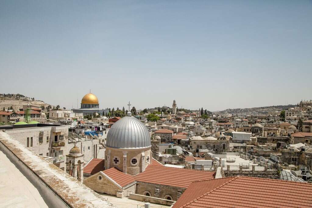 ההוספיס האוסטרי. | רינה נקונצ'ני