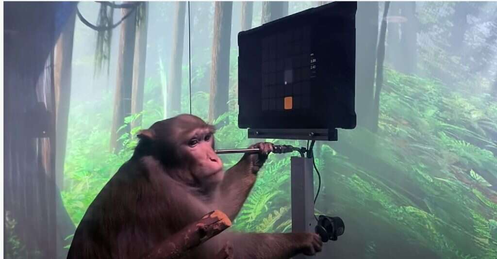 שבב של תקווה. מתוך סרטון שפרסמה חברת נוירלינק. | מסך