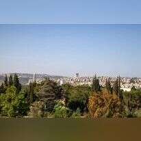 ירושלים. | רינה נקונצ'ני