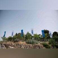 שריה דיאמנט