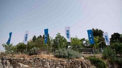 שריה דיאמנט