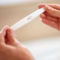 שאטרסטוק שאטרסטוק