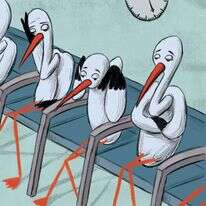 איור: מורן ברק