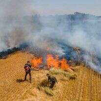 שריפה בשטחי קיבוץ בארי שהוצתה בעקבות בלון תבערה. | אמנון זיו, קב"ט מועצה אזורית חוף אשקלון