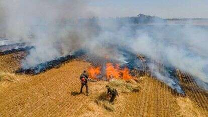 שריפה בשטחי קיבוץ בארי שהוצתה בעקבות בלון תבערה. | אמנון זיו, קב"ט מועצה אזורית חוף אשקלון