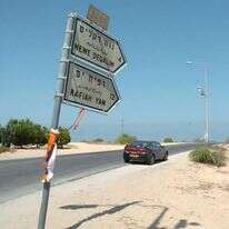 דודו גרינשפן, איי.אף.פי